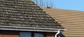 Gutter and roof cleaning